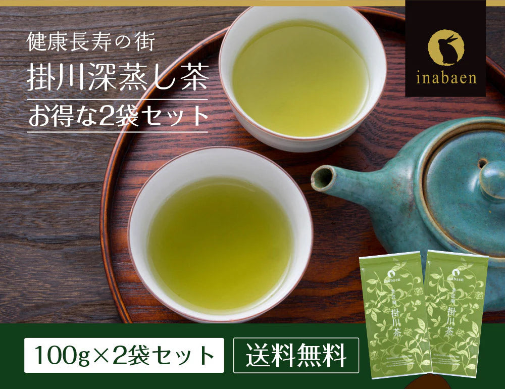 【2個セット】日本橋いなば園 静岡深蒸し茶 掛川茶 100g ネコポス メール便送料無料