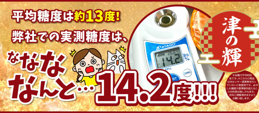 みかん　大分産　津の輝　1.5kg　ご家庭用（発送予定：2025年1月下旬より）