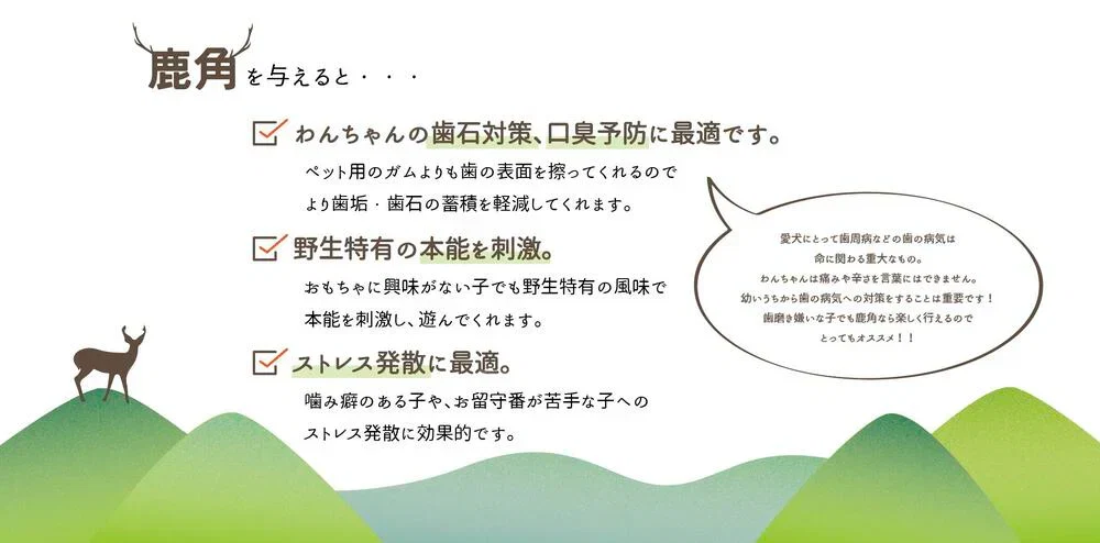 【送料無料】鹿角　Lサイズ　1本　ペット　歯石　口臭　ストレス解消　おもちゃ　お留守番　しか　ツノ