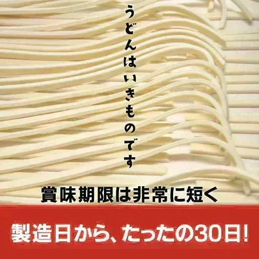 本場讃岐純生うどん 720g(240gx3袋)  約6人前  鎌田醤油 つゆ付き うどん  特産品 名物品  しあわせ製麺 hoso6tuyu