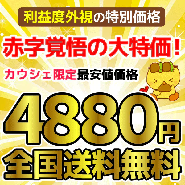 中華惣菜福袋★5品コース★［手羽餃子・麻婆豆腐・焼き小籠包・鶏チリソース・よだれ鶏］［ 人気中華料理５品 ギフト 本格中華セット お取り寄せグルメ お試し 餃子 ショウロンポウ しょうろんぽう 鶏チリ チリソース よだれ鶏 グルメ 簡単総菜 お惣菜 総菜 送料無料 ］