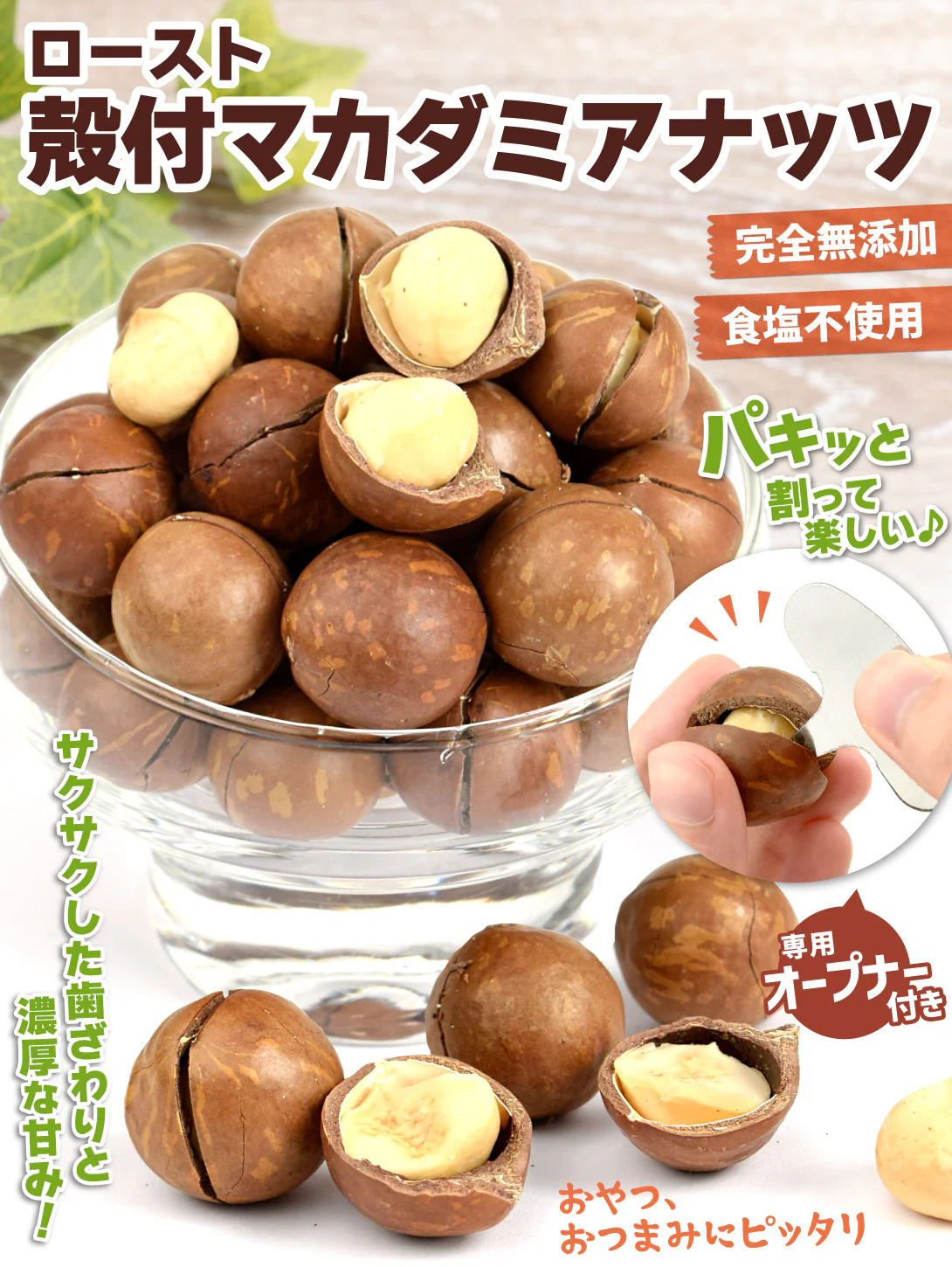 マカダミアナッツ 殻付き ロースト 300g オープナー付 ナッツ