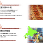 【北海道直送】国産冷凍 ボイル済 紅ズワイガニ姿 約4kg (6~8杯入) A品 2022年新物 第七十八宝樹丸 松田船長 漁師さん応援キャンペーン 4kg×1箱 冷凍品 国産無添加【エコ得】