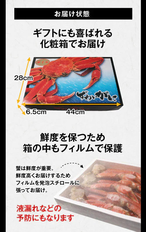 送料無料  ズワイ ずわい 蟹 かに カニ  ズワイガニ 4L 5L 約2kg(正味1.6kg、4肩〜6肩入)ロシア産・ノルウェー産