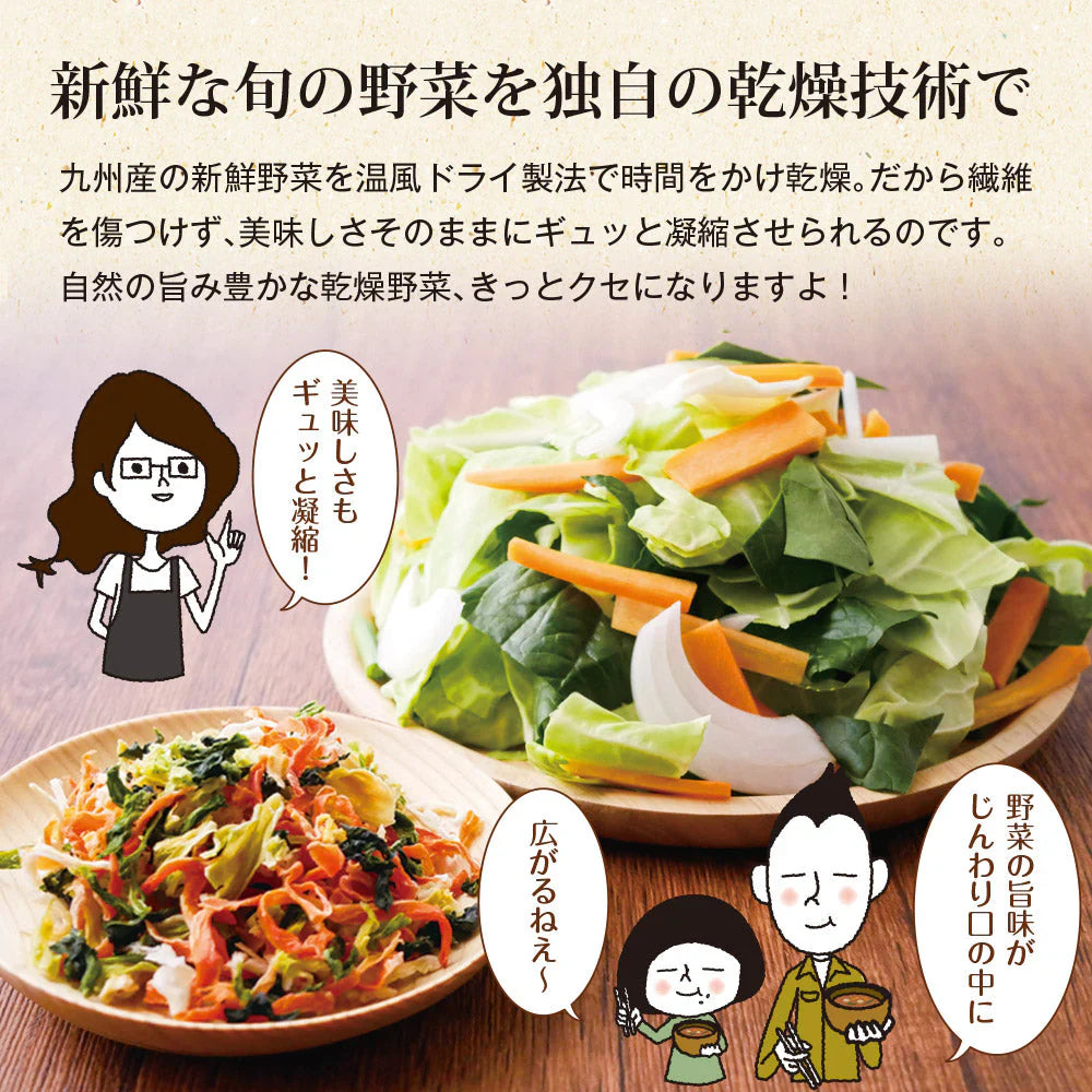 日本橋いなば園 九州産野菜使用 乾燥野菜ミックス 100g ネコポス メール便送料無料