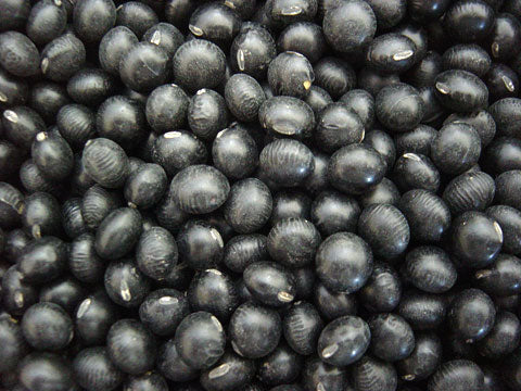 北海道名産品 びえいの豆　黒大豆 1kg
