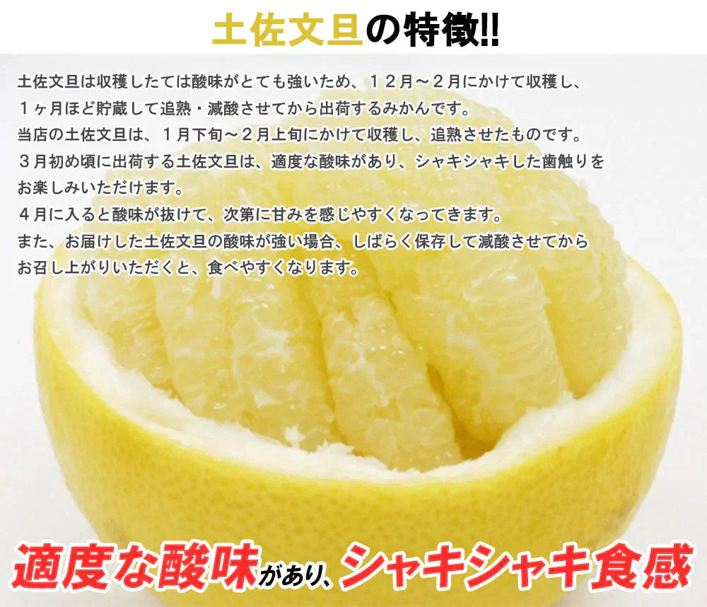 土佐文旦 訳あり 4kg 送料無料 ご家庭用 箱買い サイズミックス みかん 柑橘 フルーツ 果物 産地直送 愛媛県産 YDF-008