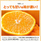 デコみかん たっぷり 8kg みかん 訳あり クール便 不知火 ミカン 熊本県産 デコポン と同品種 熊本 柑橘 美味しい みかん 産地直送 箱 でこ mikann くまもと風土 《1-5営業日以内に頃より発送予定》