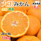 大玉みかん 10kg 2L～4L 秀品 金峯 青島 みかん 送料無料 温州みかん 熊本県産 蜜柑 ミカン フルーツ