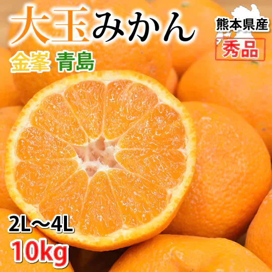 大玉みかん 10kg 2L～4L 秀品 金峯 青島 みかん 送料無料 温州みかん 熊本県産 蜜柑 ミカン フルーツ