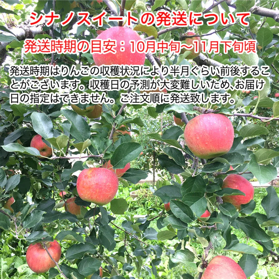 【2023年産予約開始！数量限定！】シナノスイート 訳あり 約2.5kg(6-14玉) やさしい甘さでジューシー！10月中旬頃発送開始予定 #YAS0B025