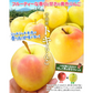 りんご とき 青森産 5kg （発送予定：12月中旬より）