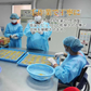 【30g】大地の生菓 無添加 ドライフルーツ パイナップル  送料無料 砂糖 保存料 不使用 お試し 製菓材料