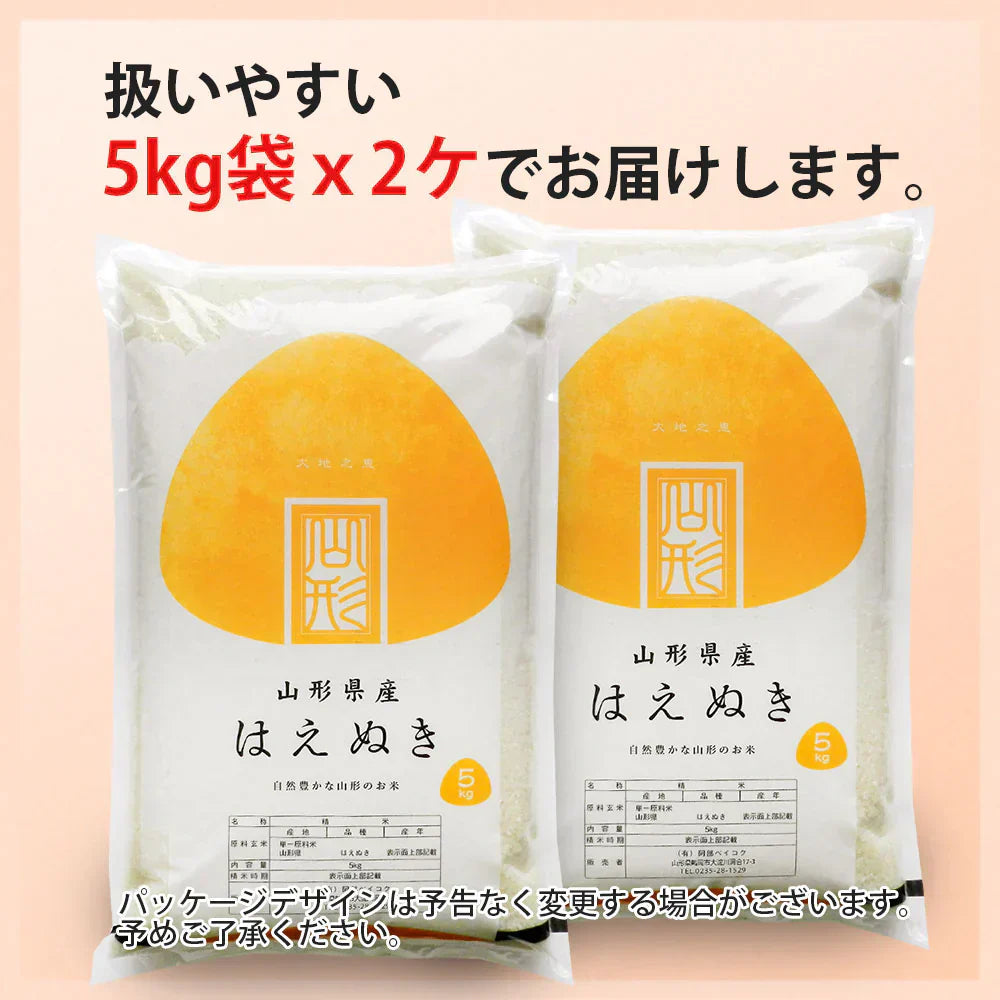 はえぬき 白米 10kg (5kg×2袋) 山形県産 令和7年産 送料無料 米 10キロ こめ コメ お米 精米 新米 お米10kg はえぬき10kg はえぬき10キロ