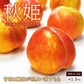 秋姫(あきひめ)プラム 1.5kg前後 8-15玉前後 山形産 ギフト フルーツ 果物 くだもの プラム すもも