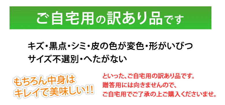 【5月下旬～6月上旬頃より順次出荷】メロン 訳あり 送料無料 約4kg（2〜7玉）品種おまかせ 九州産 キンショウメロン・イエローキング・エリザベス・肥後グリーン・プリンス・レノン・タカミ・アムス・ クインシーメロン・リゾート・アンデスメロン・ホームランなど