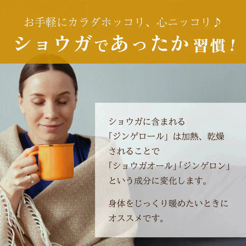 生姜パウダー ジンジャーパウダー オーガニック 生姜 有機 ジンジャー しょうが 粉末 パウダー 100g スパイス 有機JAS スリランカ セイロン ジンジャーエール 生姜ドリンク 香辛料 無添加 温活 冷え ダイエット 健康