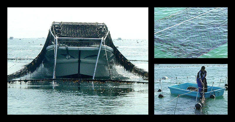 海苔 焼のり 30枚 全型 訳あり 有明海 瀬戸内海 宮城 板のり 焼海苔 焼きのり やきのり 美味しい 自宅用 のり 贈り物 ［送料無料］［ゆうパケット］お一人様2個まで プレゼント ギフト 健康 子供 ギフト プレゼント ※ポスト投函商品の発送は1～2週間前後になります