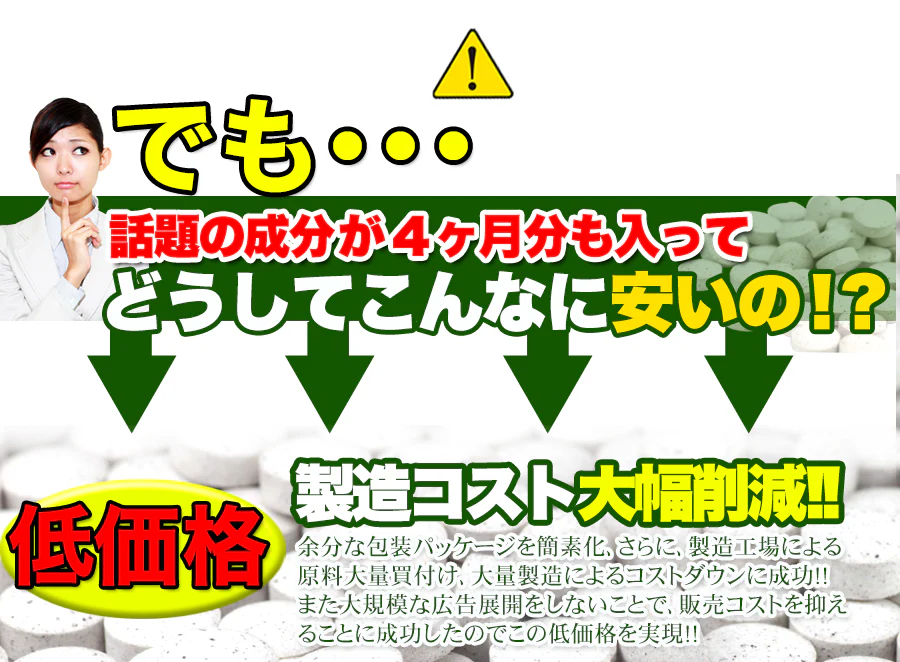 【メガ盛り 大容量4ヵ月分・ダイエット 酵素】サプリ TVCMでも話題の酵素サプリがどっさりメガ盛りで登場 酵素 ダイエット サポート 激やせ 燃える 燃やす 水溶性食物繊維 野草発酵 生酵素 サプリメント ヨモギ ニンニク ドクダミ ラカンカ カリン キダチアロエ シソの葉 おすすめ 人気 ランキング 効果 強力 最強 通販 日本製 国産 健康サプリ 健康食品 90種類の野菜 野草から抽出した 痩せる 酵素サプリメント