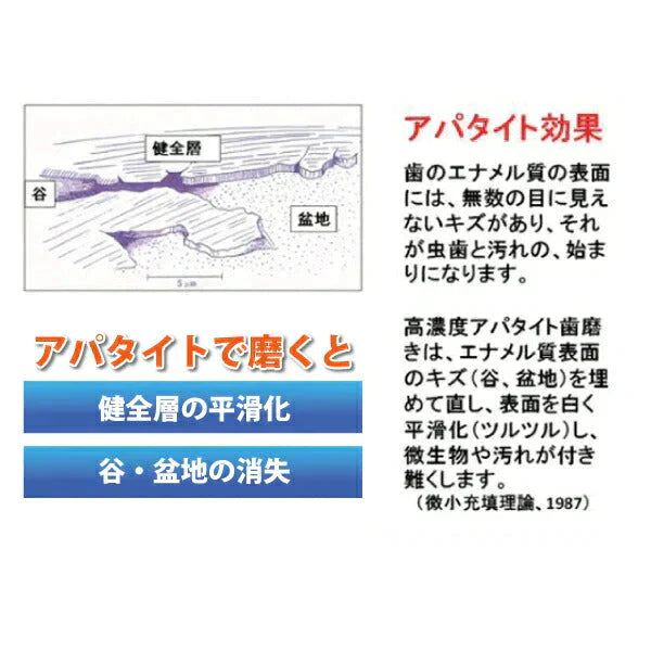 歯みがき粉 ホワイトニング 薬用シェルピカ 1本(80g) 歯を白く美しくピカピカにする薬用ハミガキ 美白 【メール便送料無料】