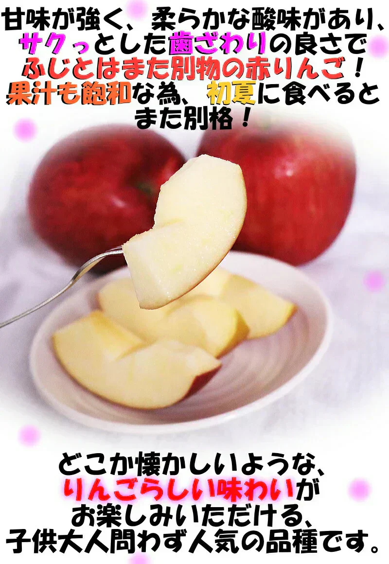 青森県産 りんご シナノスイート 5kg箱 【訳あり】　★スイート 訳 5kg 箱