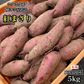 【今期新物】紅まさり5kg