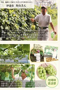 福島県産 秀品 シャインマスカット 大房２房セット