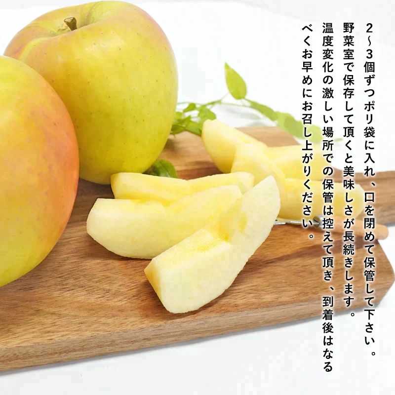【ただいま発送中！】青森県産 訳あり ぐんま名月 約10kg※11月中旬頃からご予約順に発送予定※家庭用 青森 りんご 林檎 群馬名月 果物 フルーツ 送料無料 ks