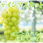 【7月下旬～8月上旬頃より順次出荷】〈クール便でお届け〉 シャインマスカット ぶどう 送料無料 1kg 2〜3房 九州産 マスカット 葡萄 ブドウ