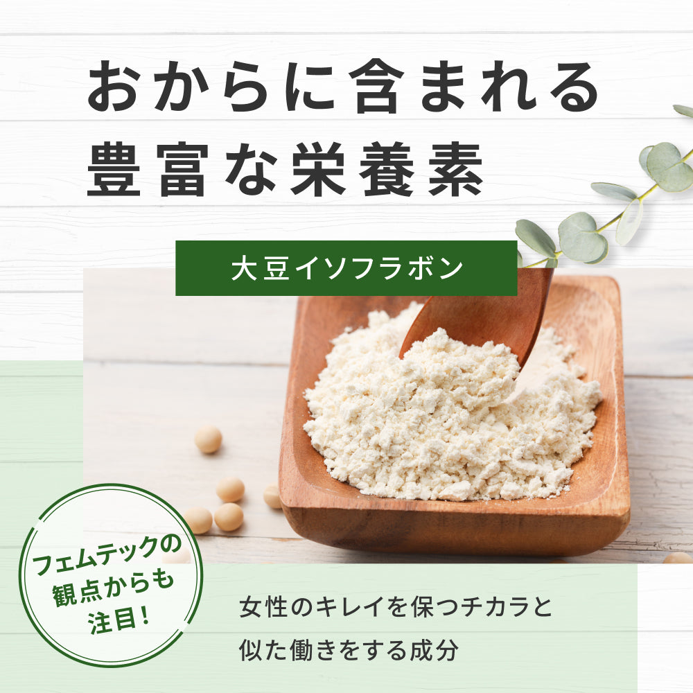 飲める おからパウダー 超微粉 300メッシュ 450g 2袋 国産 保存料 着色料 無添加 グルテンフリー 大豆 おから ソイパウダー 置き換え 飲み物 低糖質 糖質制限 粉末 食物繊維 たんぱく質 添加物不使用 なかから美育 ダイズ 遺伝子組み換えでない