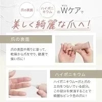 ネイルオイル 爪 美容液 ケア 10ml ペンタイプ ペン 補強 オーガニック キューティクルオイル ハイポニキウム 甘皮 ネイルケア ネイル オイル ネイルセラム 補修 保護 爪割れ ひび割れ