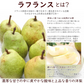 【11月中旬-12月下旬頃ご注文受付順次】洋梨　ラフランス　約2kg以上（5-6玉前後）化粧箱詰め　大玉サイズ　山形県産　西洋梨　なし　ようなし