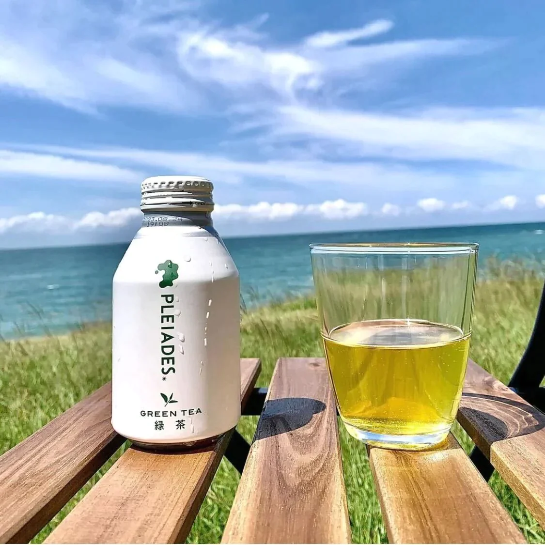 【45.9円/1缶】緑茶 [260g×48缶] PLEIADES GREEN TEA プレアデス
