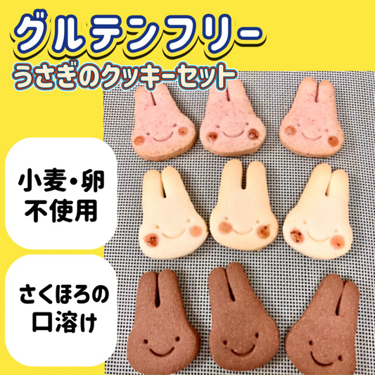 【さくほろの口溶け】グルテンフリーのバタークッキー　うさぎのクッキー9枚入 /グルテンフリー・米粉クッキー・小麦不使用・卵不使用・アレルギー対策食品