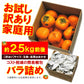 【11月上旬-下旬頃ご注文受付順次】訳あり庄内柿バラ詰め2.5kg前後　種なし柿を産地直送でお届け！ご家庭用にちょっと訳あり柿