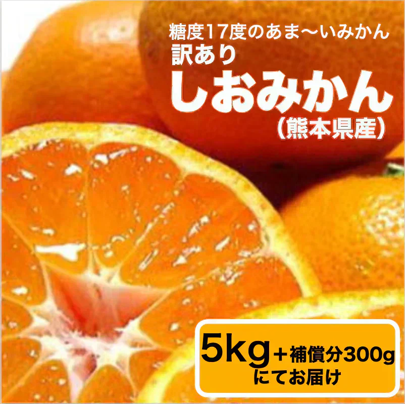 【10月中旬頃～順次発送】しおみかん  5kg みかん 熊本産 訳あり ご家庭用 80サイズ