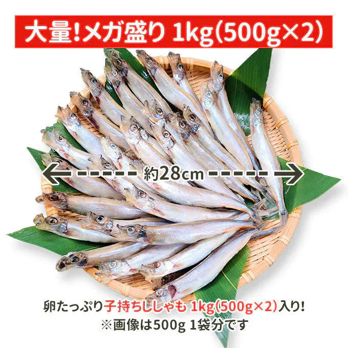 好評につき完売いたしました。子持ちししゃも 1kg（500g×2） 送料無料