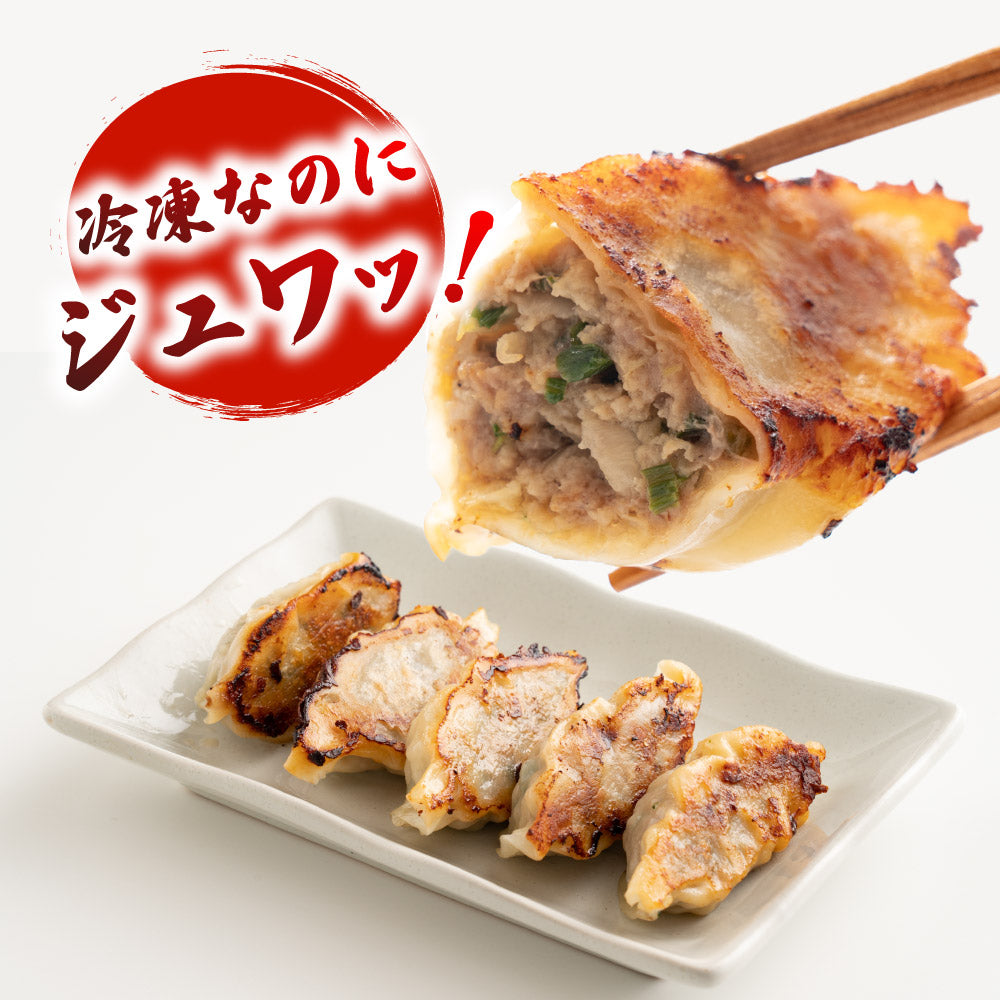 だるま印の冷凍餃子 60個 【濃い味】 醤油なしで食べれる コク深い隠し味噌 静岡の人気店「SHIRUSHI」の特製餃子(30個入り×2袋)