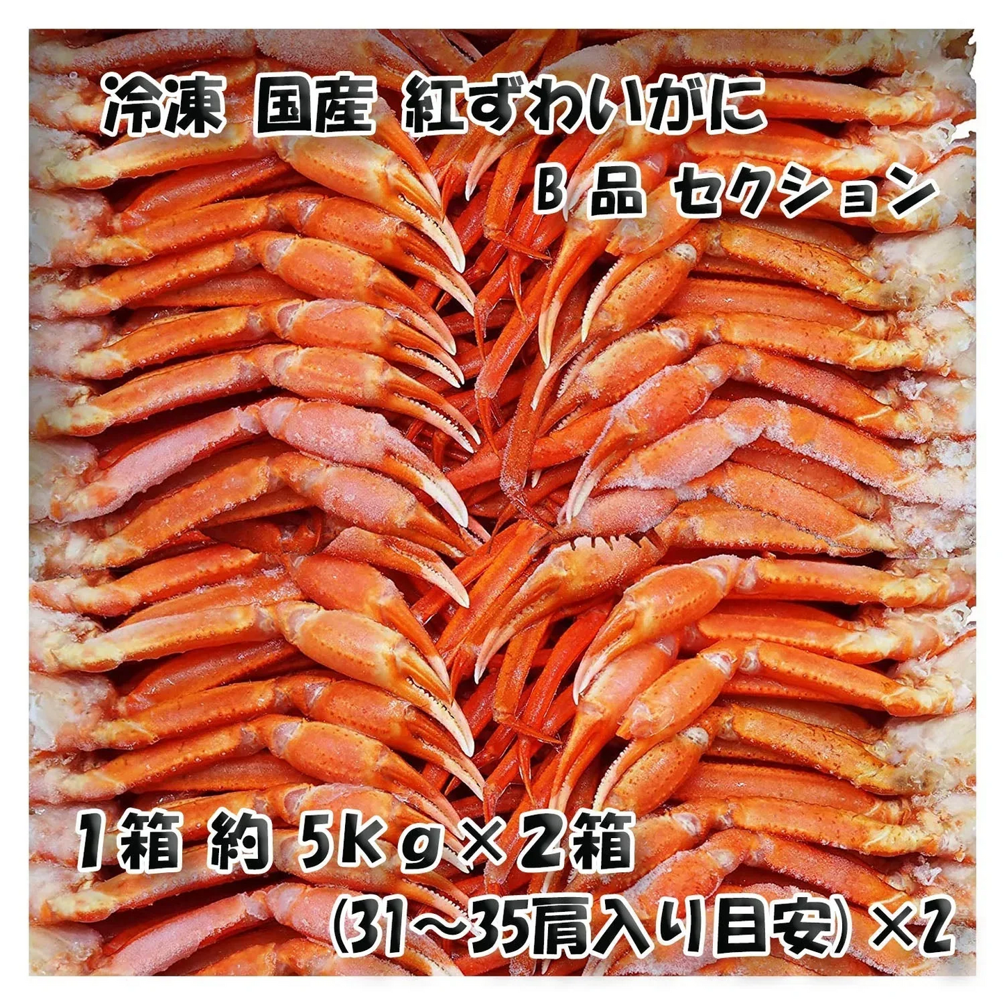 【北海道直送】国産冷凍 ボイル済 紅ズワイガニ セクション 約5kg箱×2 冷凍品 B品 Mサイズ (31~35肩入り目安×2)「漁師さん応援キャンペーン」 (5kg×2箱)【エコ得】