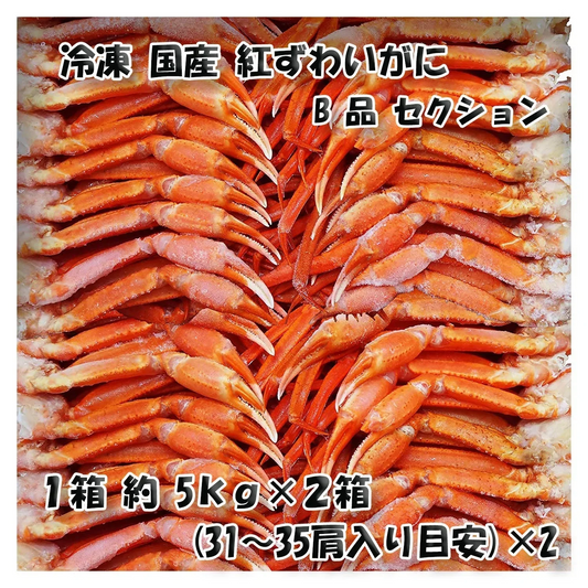 【北海道直送】国産冷凍 ボイル済 紅ズワイガニ セクション 約5kg箱×2 冷凍品 B品 Mサイズ (31~35肩入り目安×2)「漁師さん応援キャンペーン」 (5kg×2箱)【エコ得】