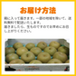 梨 訳あり（愛甘水・幸水・豊水・秋月・新高・愛宕・新興・秋麗・甘太など）約5kg（約5～24玉) 旬な品種をお届け【8月下旬頃～9月下旬順次発送】