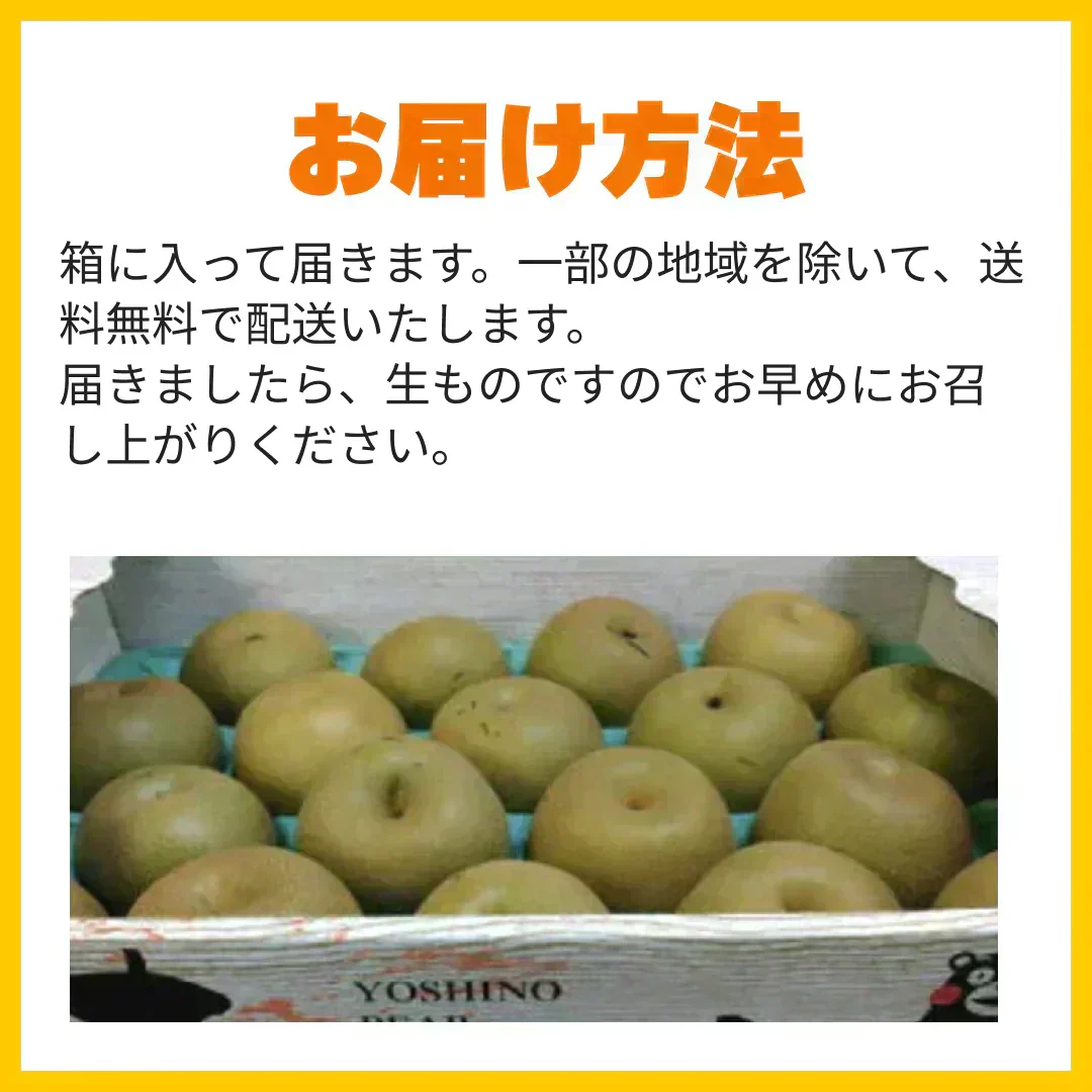 梨 訳あり（愛甘水・幸水・豊水・秋月・新高・愛宕・新興・秋麗・甘太など）約5kg（約5～24玉) 旬な品種をお届け【8月下旬頃～9月下旬順次発送】