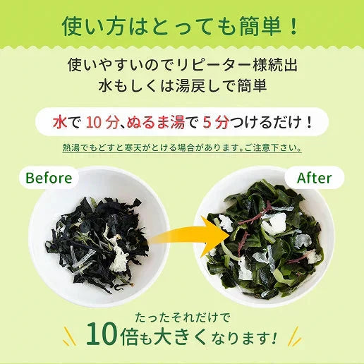 寒天海藻サラダ メガ盛260g（チョレギサラダの塩だれドレッシングつき） 送料無料