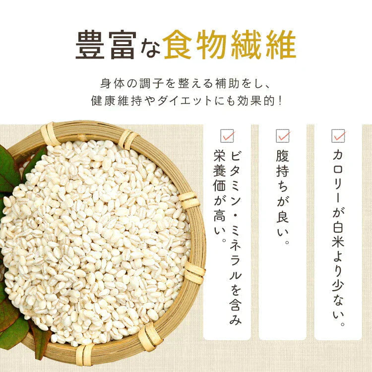 【カートアップNG】パックご飯 もち麦 アイリスオーヤマ 低温製法米のおいしいごはん 150g×24パック