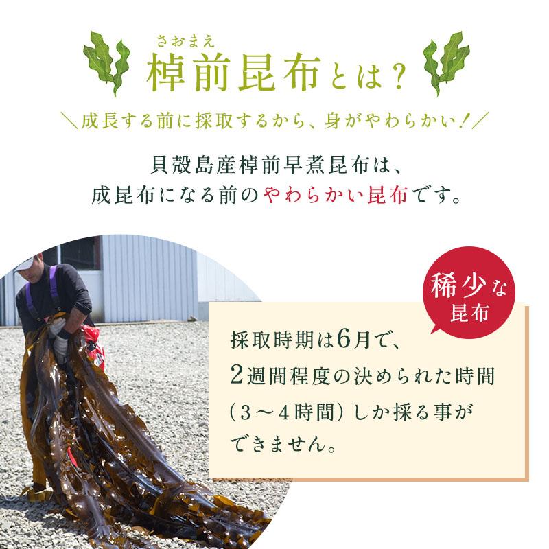昆布 早煮昆布 200g 貝殻島棹前昆布 おでんの具 結び昆布 煮昆布 昆布巻き用昆布 26センチカット 国産100％