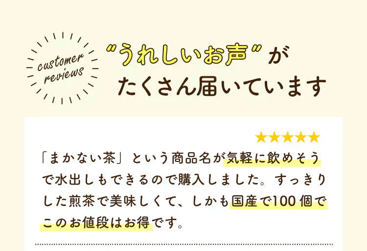 静岡県産緑茶 ティーライフのまかない茶 100個入