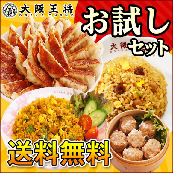 【ご新規さんとシェア買い】大阪王将 本格中華詰め合わせ お試しセット