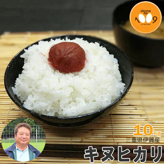 米 三重県伊賀産 キヌヒカリ 白米 10kg ヒラキファーム 令和5年産
