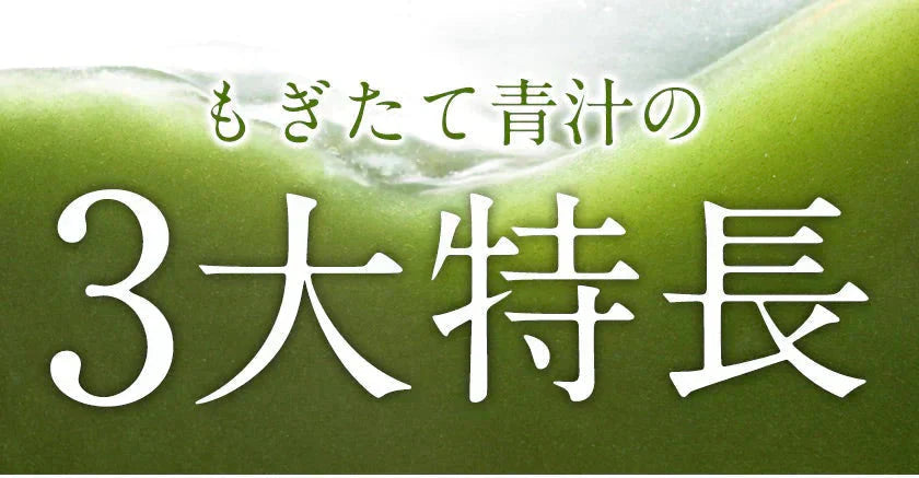 朝摘み もぎたて 青汁 大麦若葉 90g(3g×30包) 送料無料 美味しい 飲みやすい 青汁 乳酸菌 プラセンタ 食物繊維 ダイエット 甘い青汁《3-7営業日以内発送(土日祝除く)》