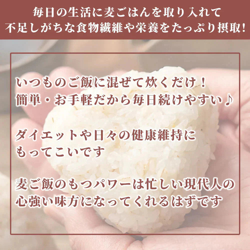 雑穀 雑穀米 国産 胚芽押麦 800g(400g×2袋) 定番サイズ 無添加 無着色 送料無料